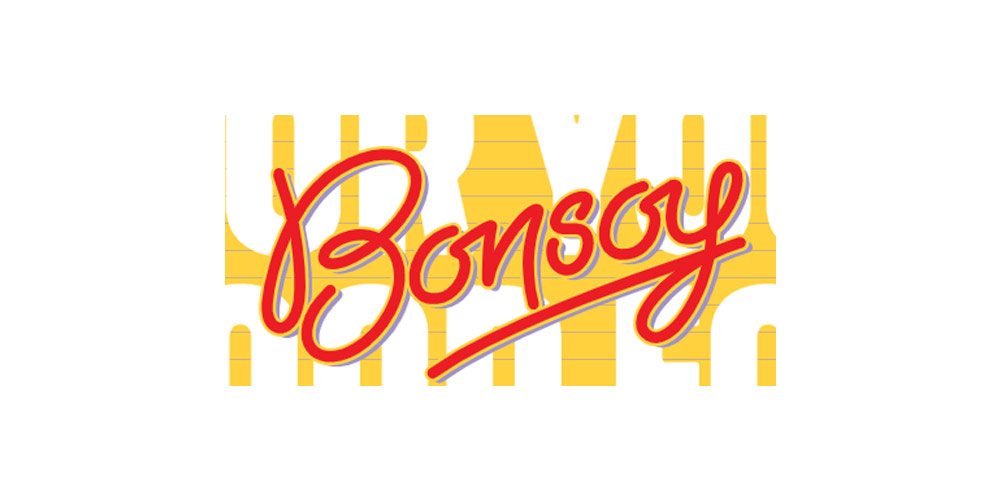 Bonsoy